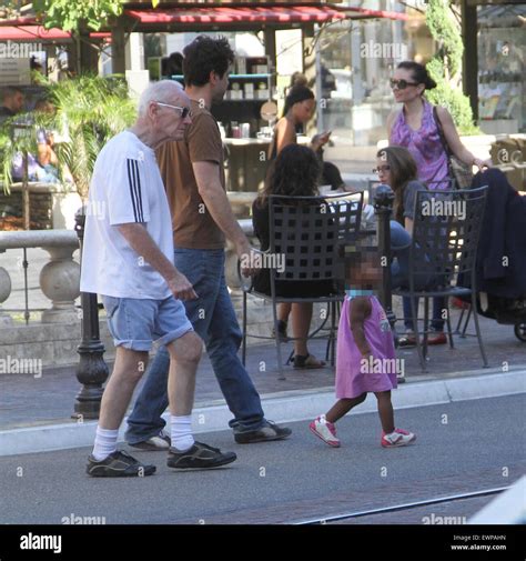 ron livingston imdb|ron livingston children.